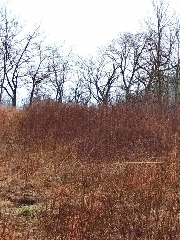 Eladó telek, Óbarokon 14.3 M Ft / költözzbe.hu