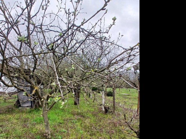 Eladó nyaraló, Barcson 2.6 M Ft, 1 szobás / költözzbe.hu