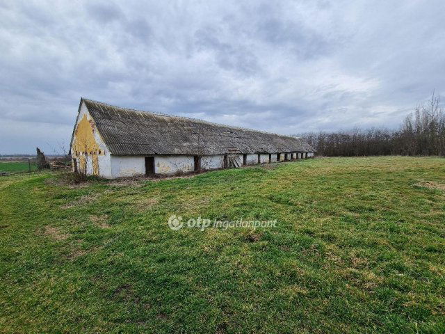 Eladó ipari ingatlan, Mezőfalván 98 M Ft / költözzbe.hu