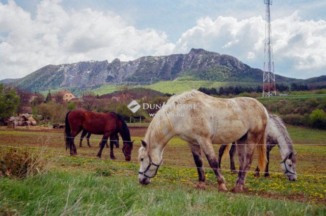 Eladó hotel, Dédestapolcsányban 125 M Ft, 2 szobás