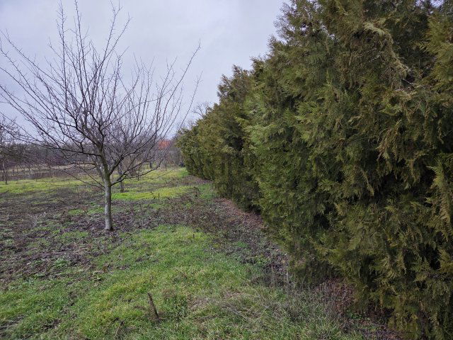 Eladó telek, Detken 2.9 M Ft / költözzbe.hu