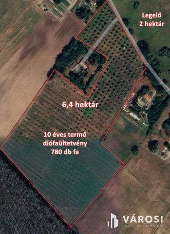 Eladó családi ház, Algyőn 30 M Ft / költözzbe.hu