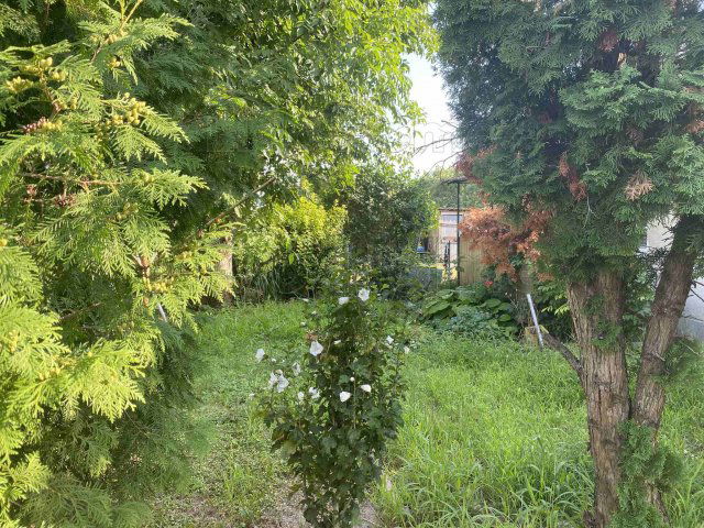 Eladó családi ház, Lepsényben 24.9 M Ft, 3 szobás