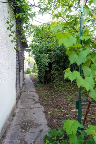 Eladó családi ház, Szigetszentmiklóson 79 M Ft, 4 szobás