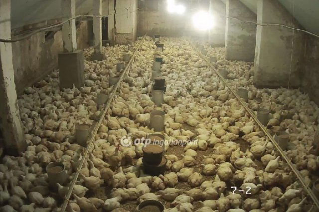 Eladó mezogazdasagi ingatlan, Csőszön 298 M Ft