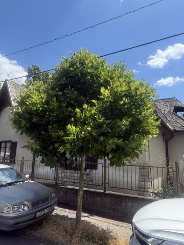 Kiadó családi ház, albérlet, Győrött 400 E Ft / hó, 2 szobás