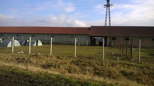 Eladó családi ház, Hajdúszoboszlón 110 M Ft, 2 szobás