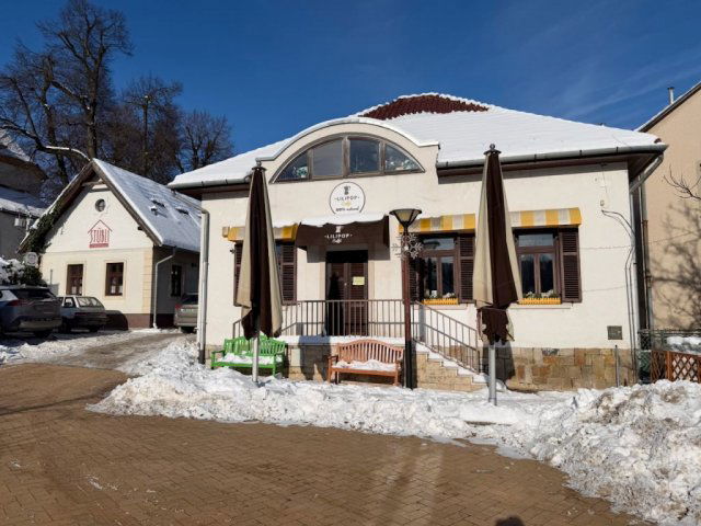 Eladó ipari ingatlan, Nagykovácsiban 279 M Ft