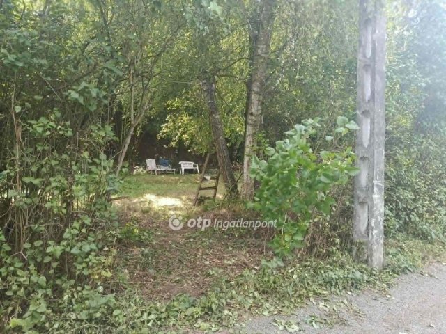 Eladó telek, Pásztón 16 M Ft / költözzbe.hu