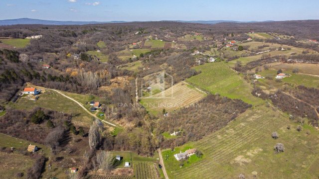Eladó mezogazdasagi ingatlan, Pécselyen 29.9 M Ft