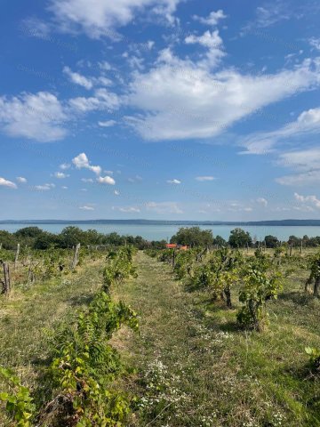 Eladó telek, Balatonszepezden 80 M Ft / költözzbe.hu