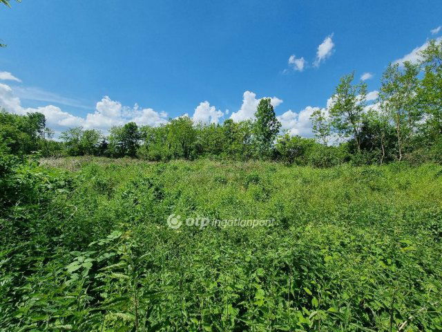 Eladó telek, Mihályházán 1.5 M Ft / költözzbe.hu