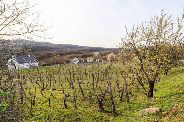 Eladó telek, Sukorón 169.9 M Ft / költözzbe.hu