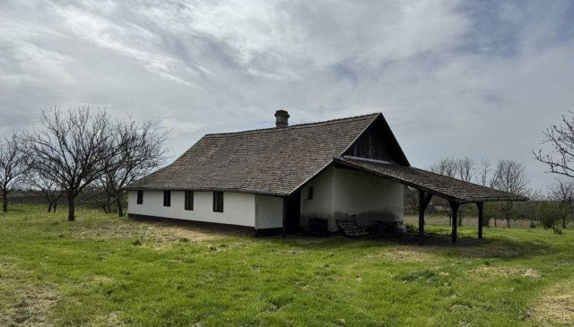 Eladó mezogazdasagi ingatlan, Makón 6.2 M Ft