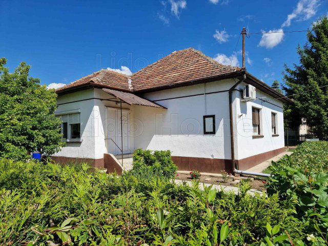 Eladó családi ház, Polgárdin 43.9 M Ft, 10 szobás