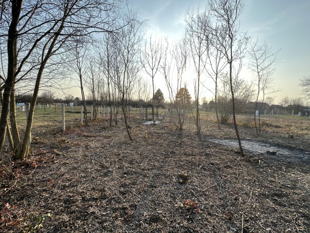 Eladó telek, Siófokon 25 M Ft / költözzbe.hu