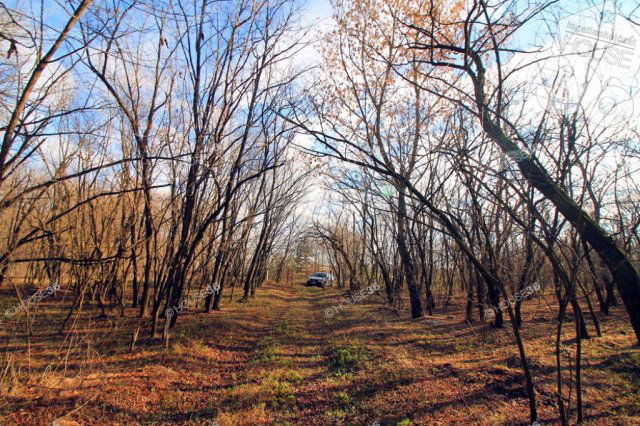 Eladó telek, Kiskunmajsán 20 M Ft / költözzbe.hu
