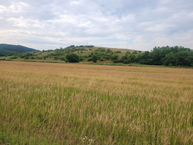 Eladó telek, Győrújbaráton 58 M Ft / költözzbe.hu