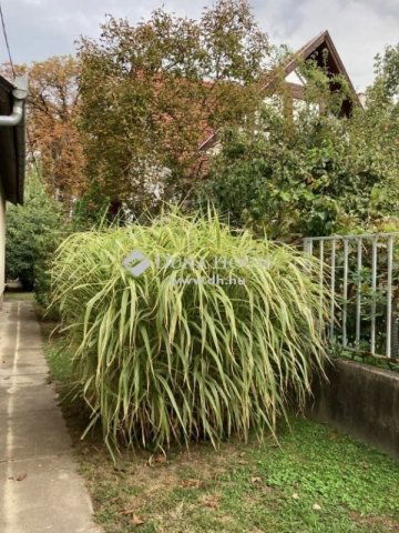 Eladó családi ház, Budapesten, III. kerületben 399 M Ft