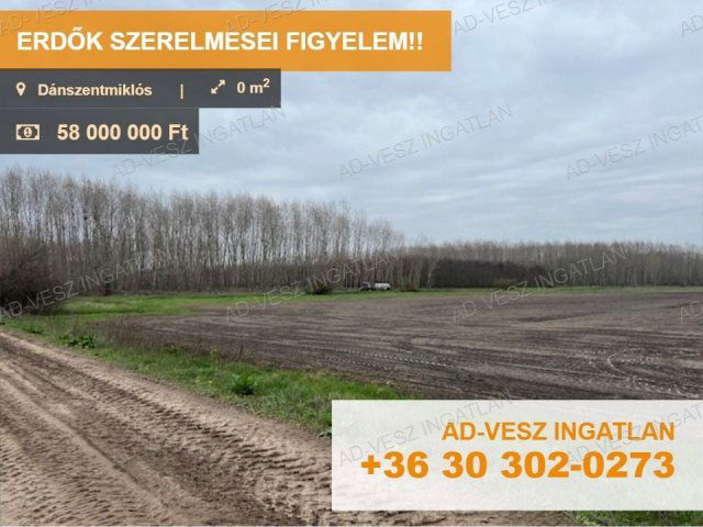 Eladó mezogazdasagi ingatlan, Dánszentmiklóson 58 M Ft