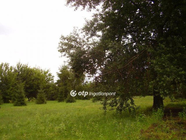 Eladó ipari ingatlan, Őrbottyánban 175 M Ft