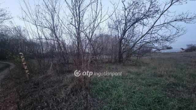 Eladó telek, Albertirsán 6.5 M Ft / költözzbe.hu