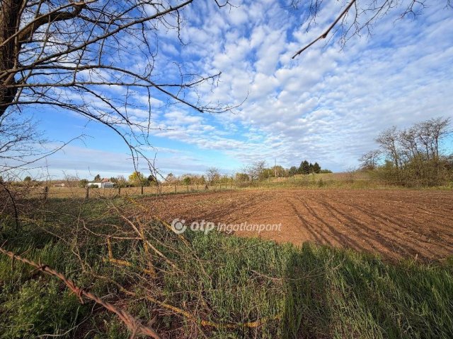 Eladó telek, Nyíregyházán 16 M Ft / költözzbe.hu
