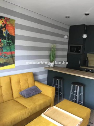 Kiadó panellakás, albérlet, Pécsett 300 E Ft / hó, 2 szobás