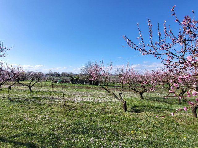 Eladó telek, Siófokon 127 M Ft / költözzbe.hu
