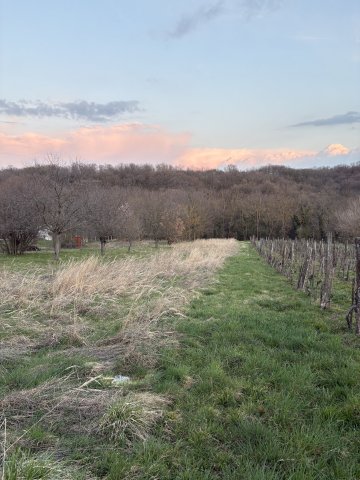 Eladó telek, Rezin 6 M Ft / költözzbe.hu