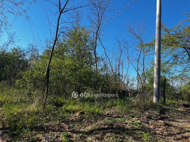 Eladó telek, Domonyban 12.7 M Ft / költözzbe.hu
