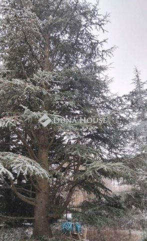 Eladó telek, Budapesten, II. kerületben 350 M Ft