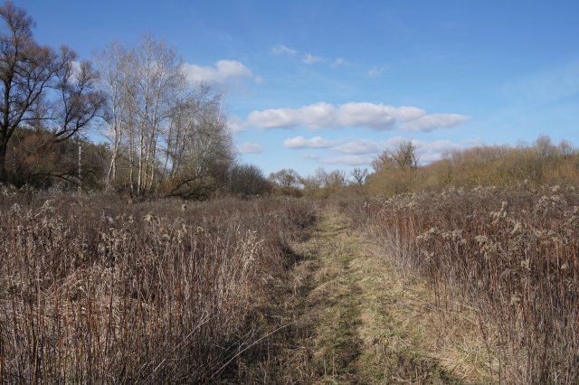 Eladó mezogazdasagi ingatlan, Isaszegen 81.813 M Ft