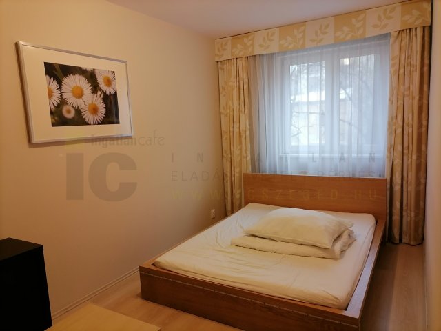 Kiadó téglalakás, albérlet, Szegeden, Dugonics téren, 2 szobás