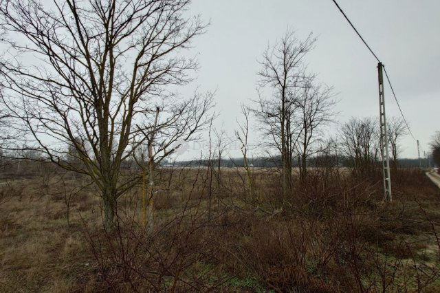 Eladó telek, Kecskeméten 9.9 M Ft / költözzbe.hu