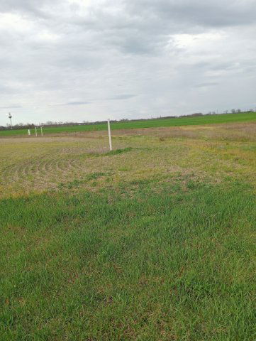Eladó telek, Áporkán 15.5 M Ft / költözzbe.hu