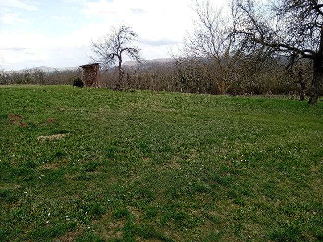 Eladó mezogazdasagi ingatlan, Karmacson 5.9 M Ft