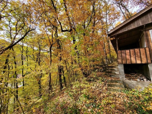 Eladó telek, Kismaroson 30 M Ft / költözzbe.hu