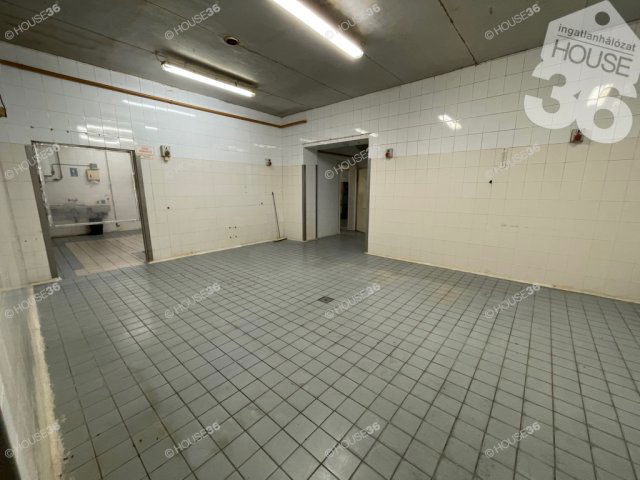 Eladó ipari ingatlan, Nagykőrösön 165 M Ft