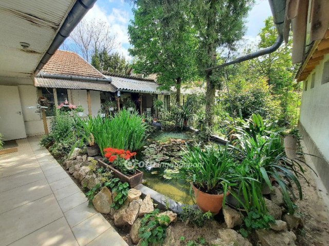 Eladó mezogazdasagi ingatlan, Cegléden 65 M Ft, 4+2 szobás