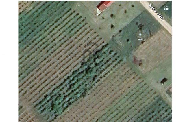 Eladó telek, Pázmándon 12.9 M Ft / költözzbe.hu