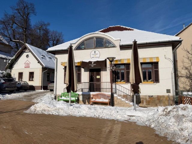 Eladó ipari ingatlan, Nagykovácsiban 279 M Ft