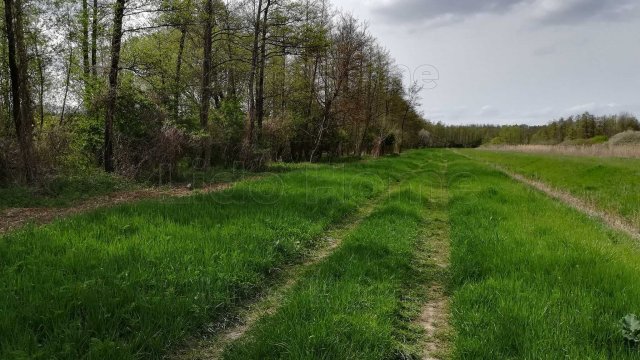 Eladó mezogazdasagi ingatlan, Ádándon 25 M Ft