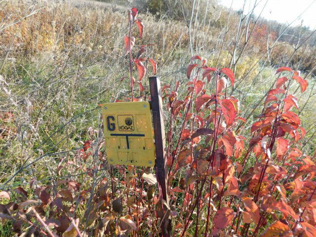 Eladó telek, Siófokon 24.9 M Ft / költözzbe.hu