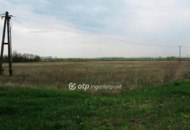 Eladó telek, Röszkén 99.9 M Ft / költözzbe.hu