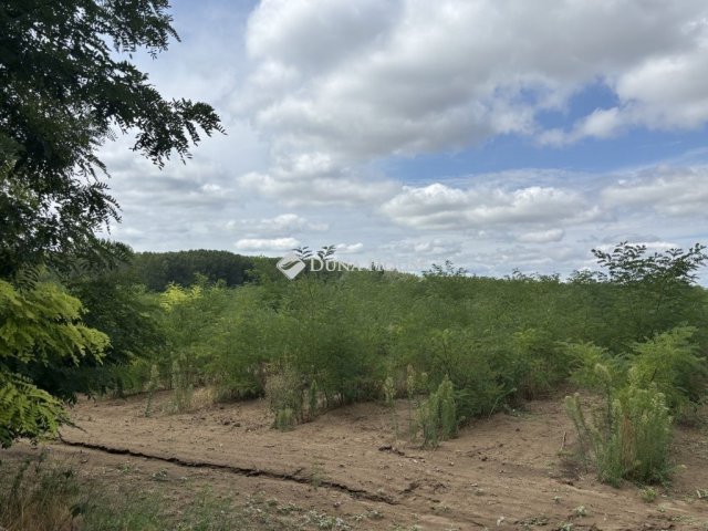 Eladó telek, Monoron 67 M Ft / költözzbe.hu