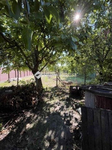 Eladó családi ház, Dabason 43 M Ft, 3 szobás