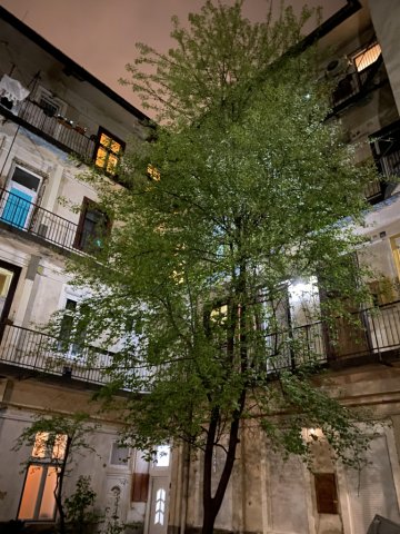 Eladó téglalakás, Budapesten, XIII. kerületben 66.9 M Ft