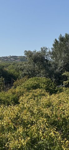 Eladó panellakás, Budapesten, III. kerületben 49.9 M Ft, 1 szobás