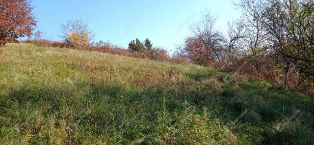 Eladó telek, Zalaegerszegen 0.85 M Ft / költözzbe.hu